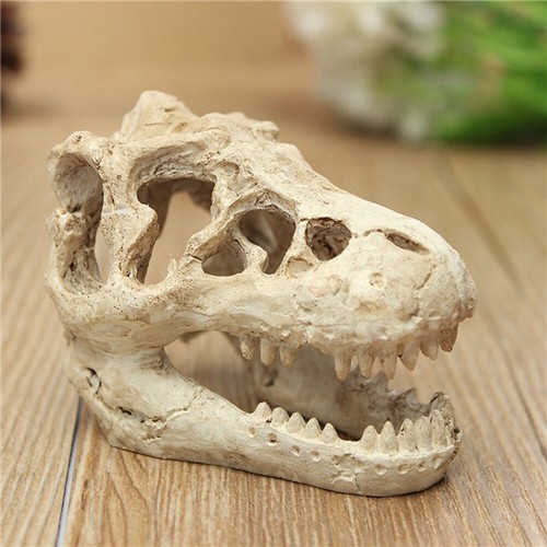 5cm aquarium fish - 8.5cm,