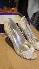 Beautiful Grey Silver Lacey