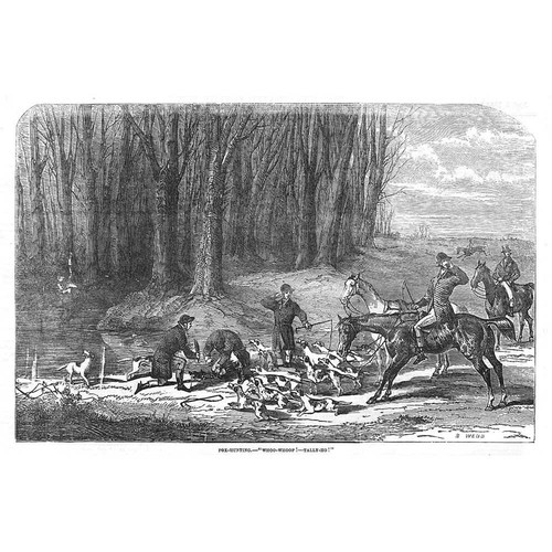 Fox hunting scene - hunting,