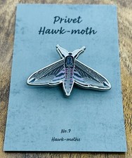 Privet Hawk-moth - No.7 - UK