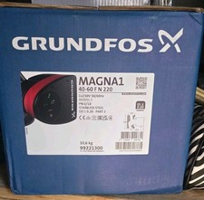 Grundfos Magna 1 40 60 FN hot
