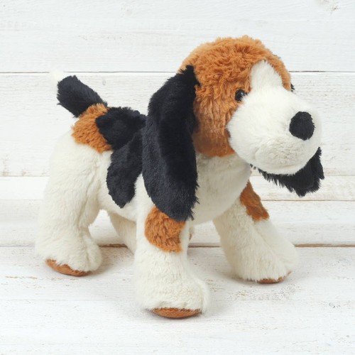 Jomanda puppy dog beagle hound - jomanda,