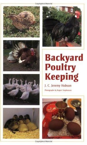 Backyard poultry keeping - backyard,