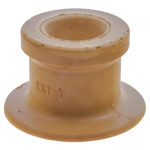 Rear engine mount jaguar - rear, oe