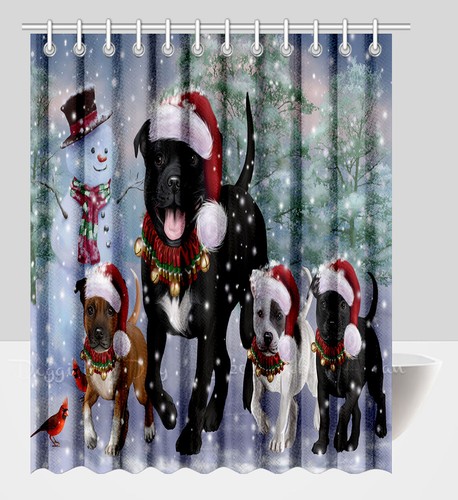 Staffordshire bull terrier - bull,