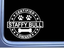 Certified Staffy Bull L270 Dog