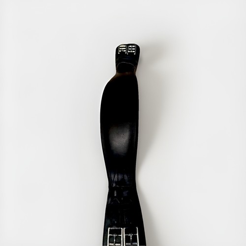 Passier black leather - black, dressage