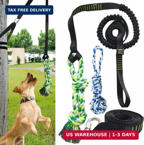 Dog outdoor hanging bungee - dog,