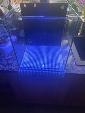 TMC Next Wave 60L Nano Marine Aquarium Bundle