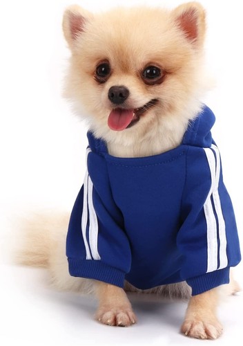 Dog sweater jumpers dogs - dog,