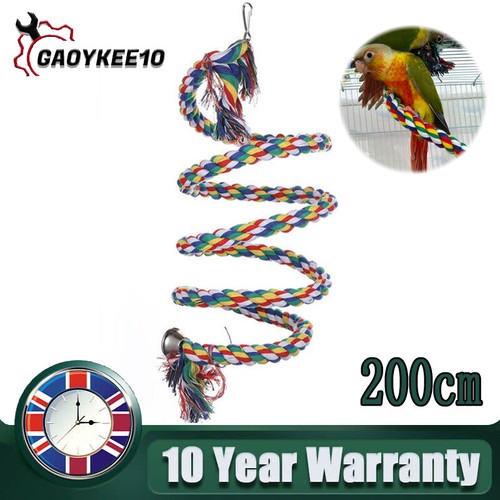 Bird rope perches parrot - bird,