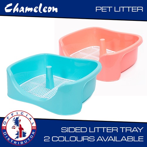 Cat kitten litter tray box - cat,