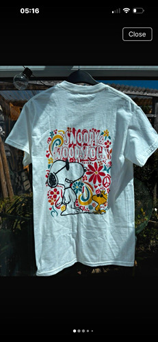 Next snoopy woodstock - snoopy,
