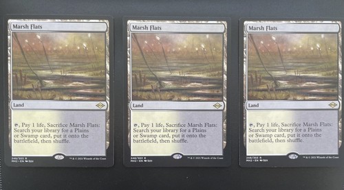 Marsh flats modern horizons - marsh, 2