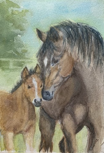 Watercolour painting a - -, 'a