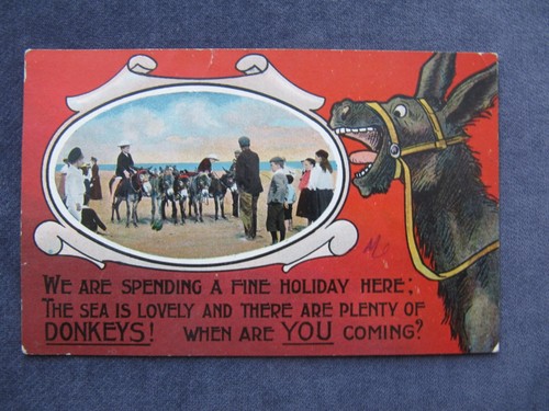 Very old postcard donkeys - postcard,