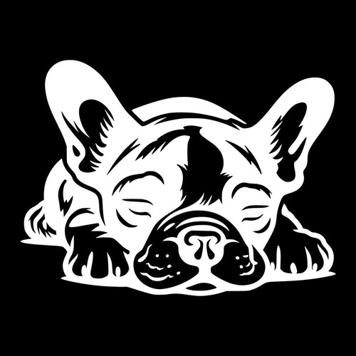 Sleeping french bulldog vinyl - sleeping,