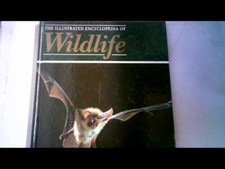 Orbis : The Illustrated