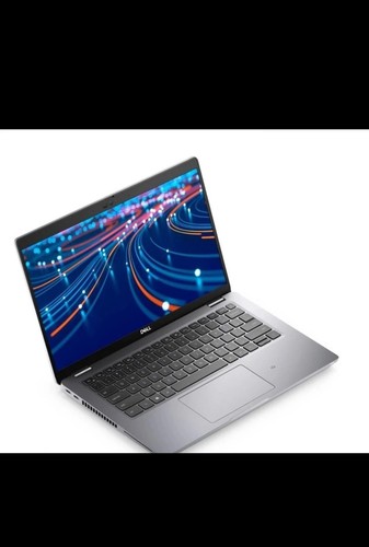 Dell latitude 5420 32gb ram - dell,