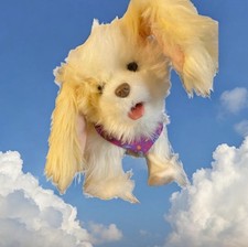 FurReal friends Trixie The