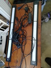 30-inch AI Blade Coral Grow