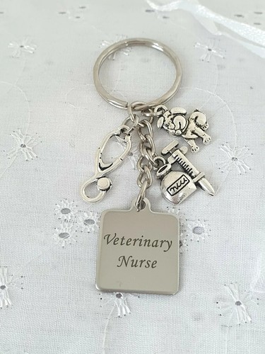 Veterinary nurse keyring - veterinary,