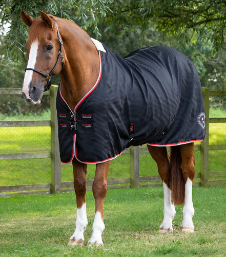 Premier equine buster - buster, waffle