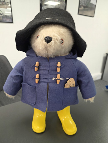 Paddington bear plush soft toy - plush,