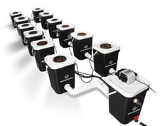 Deep Water Culture Twelve 20