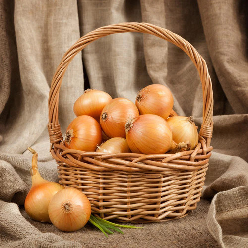 Grow your own onion sets - grow, 50