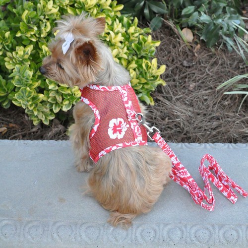 Dog harness cool - cool, mesh