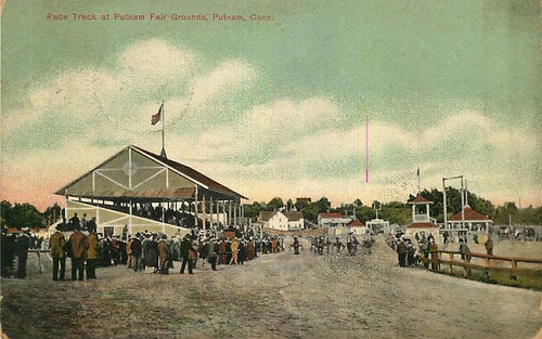 Postcard sulky horse - horse, race