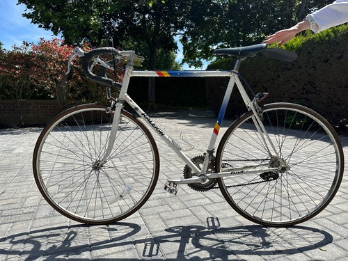 Raleigh flyer classic steel - flyer,