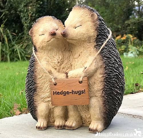 Hugging hedgehogs hedge hugs - hugging, hedge-hugs