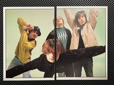 The Stone Roses Panini Smash