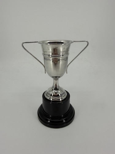 Silver lawn tennis - silver,