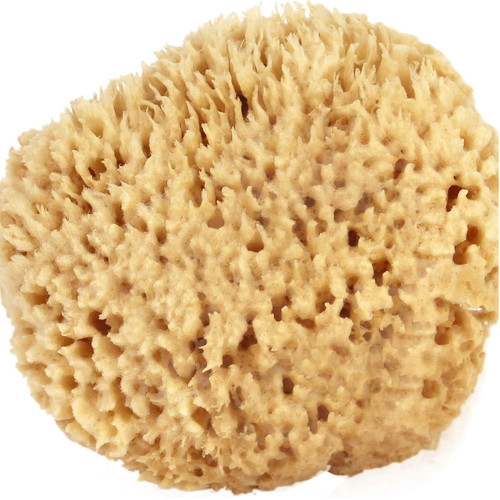 Sea wool sponge large - sea, 5-6"