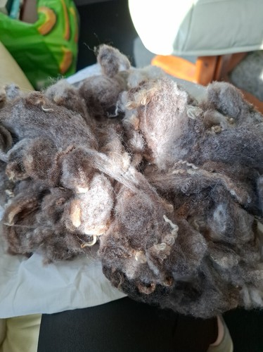 1kg raw wool - raw, wool.
