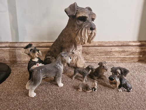 Schnauzer collection - schnauzer,