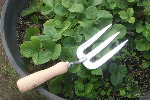 Weeding fork hand - weeding,