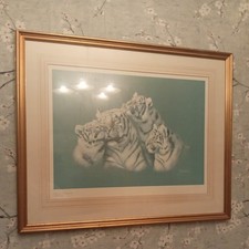 JOEL KIRK limited edition