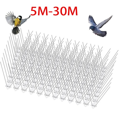 30m pigeon bird spikes wall - pigeon,