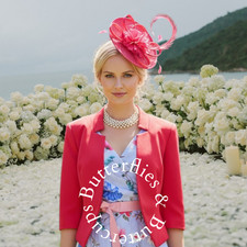 Phase Eight Dress and BNWT