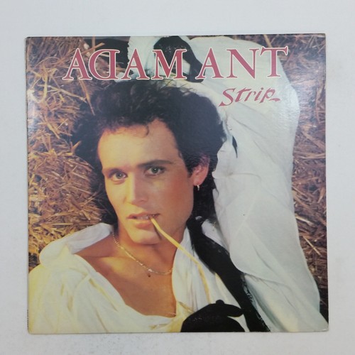 Adam ant strip - adam, fe39108