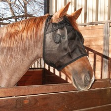 Classic Equine MagNTX Magnetic