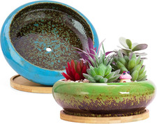 Succulent Plant Pots, 2 PCS