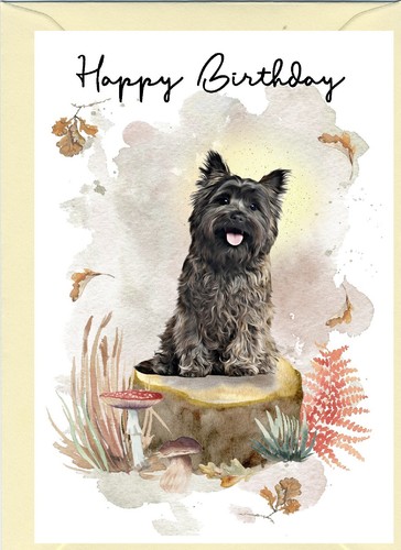 Cairn terrier dog - terrier,