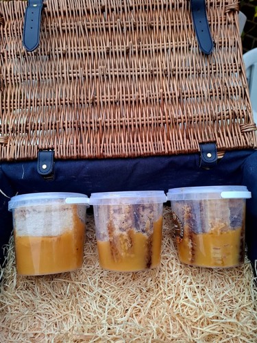 Honeycomb organic honey wild - honeycomb,