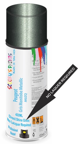 Aerosol spray paint - aerosol,