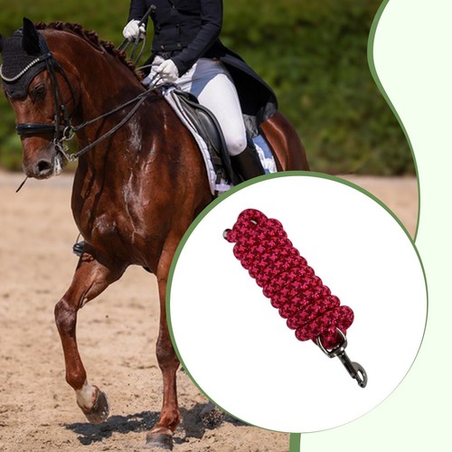 Horse rope training 250cm - horse,